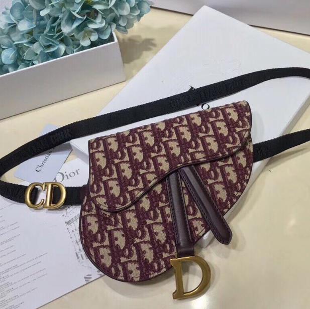 DIOR Saddle BELT BAG 20x17x2cm