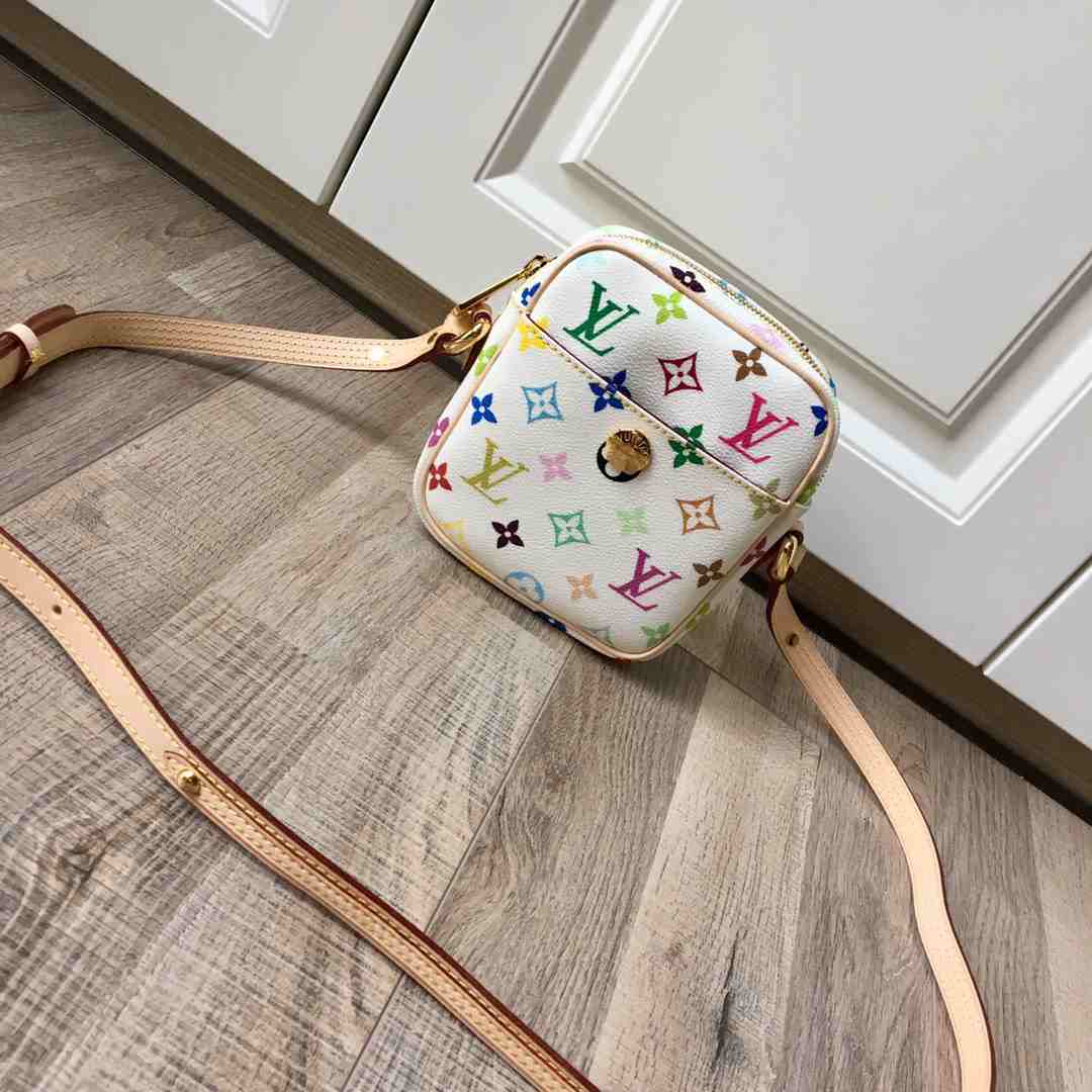 LV Multicolor HANDBAG