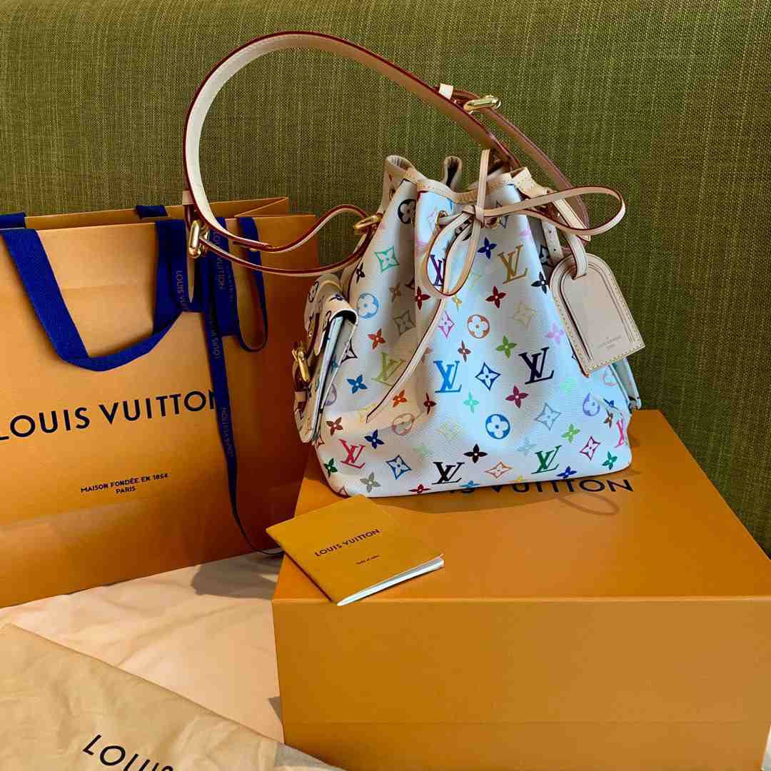 LV Multicolor HANDBAG