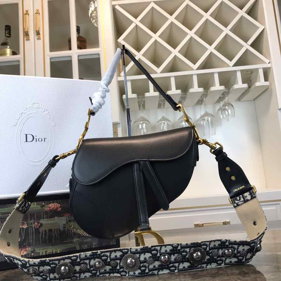 DIOR SADDLE BAG