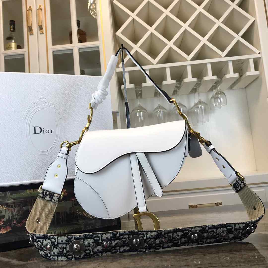 DIOR SADDLE BAG