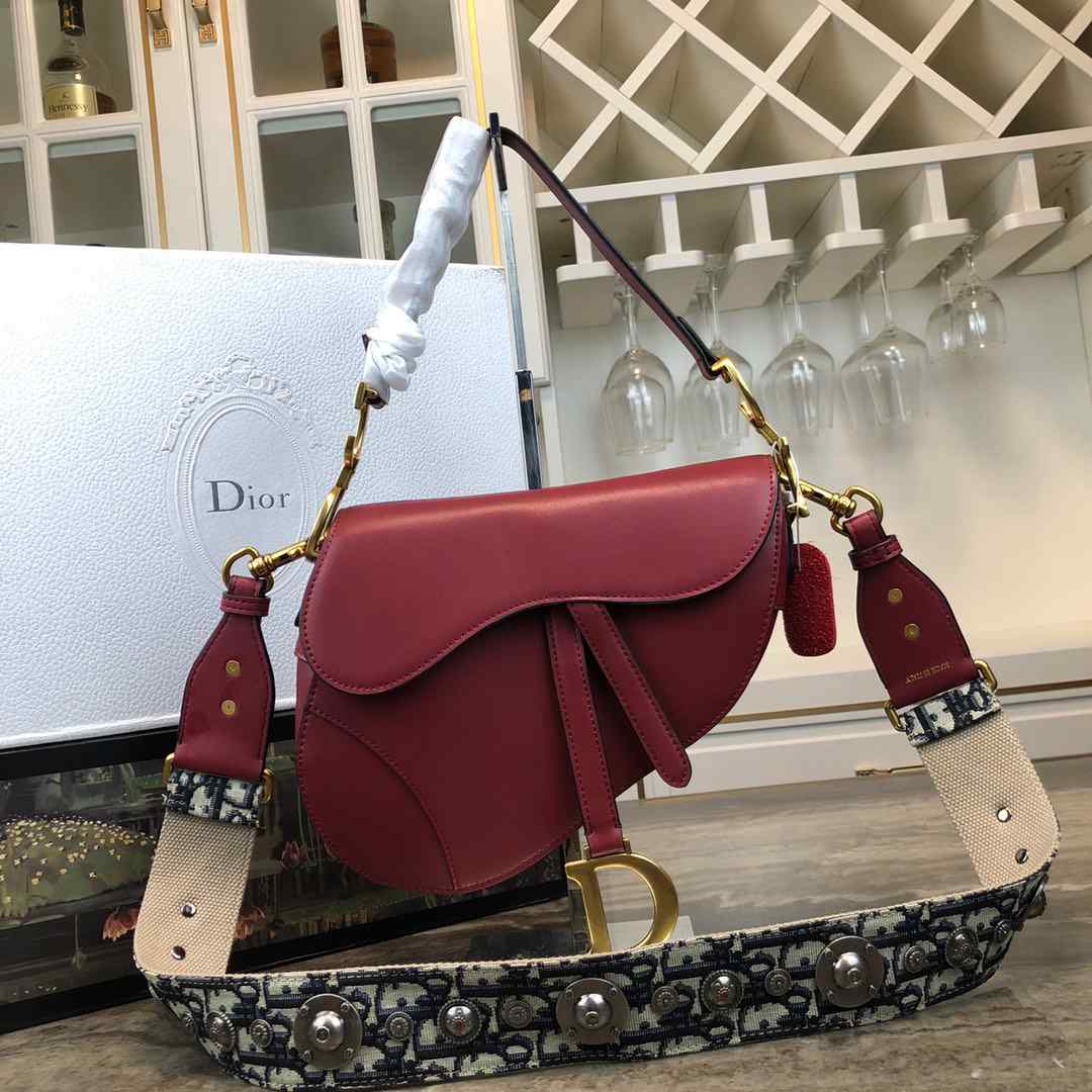 DIOR SADDLE BAG