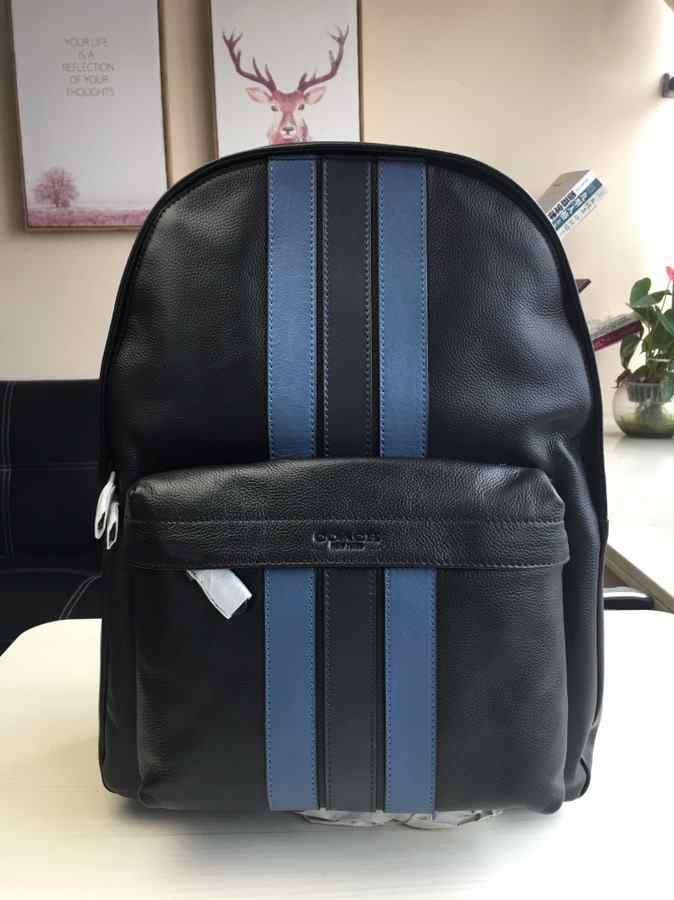 COACH BACKPACK