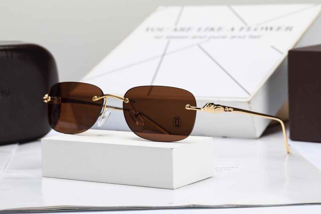 CARTIER SUNGLASSES