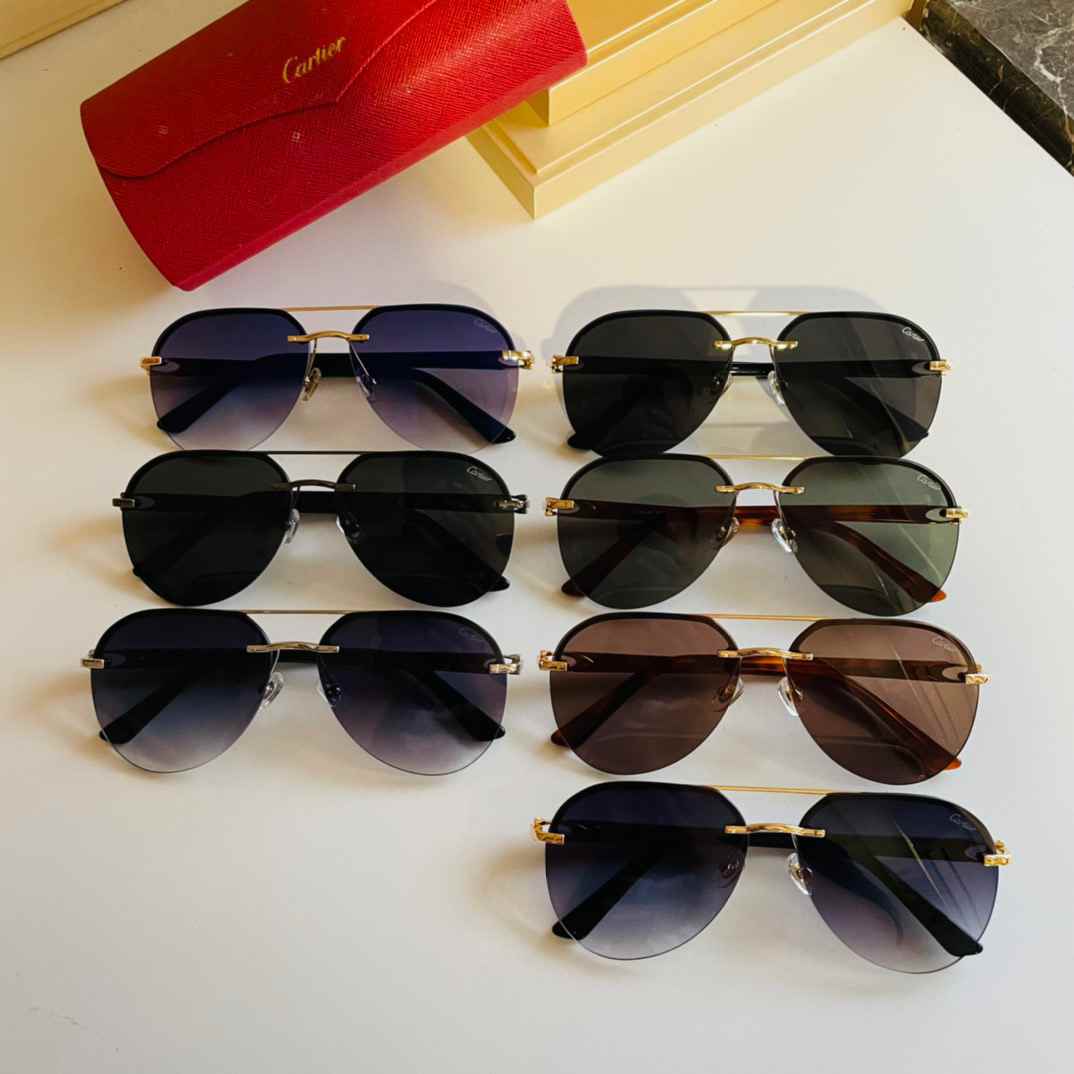 SUNGLASSES 210916