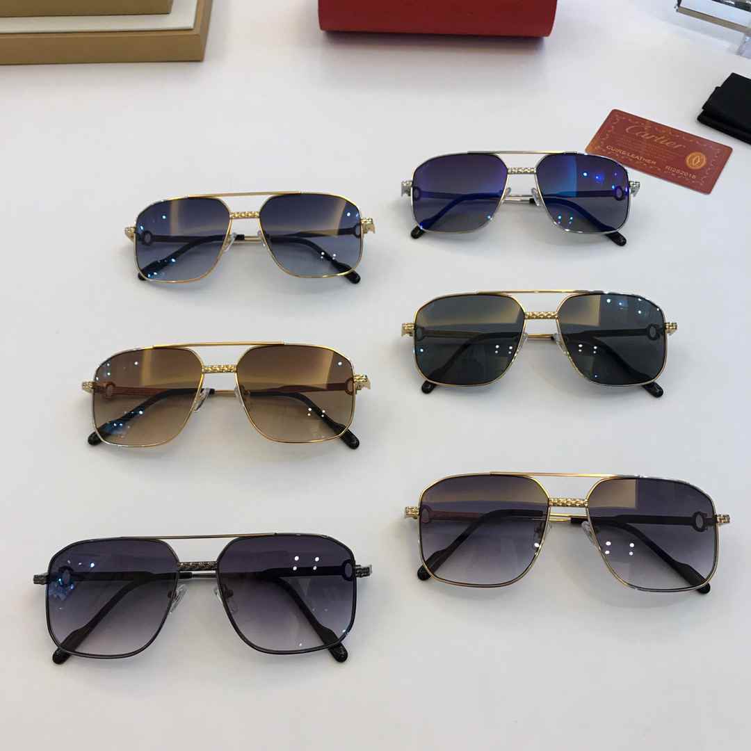 SUNGLASSES 210916