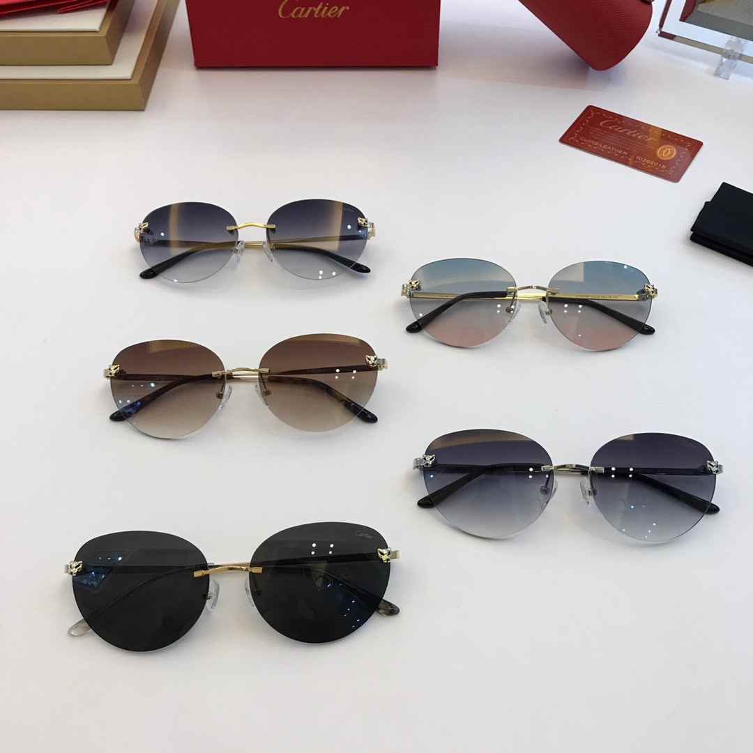 SUNGLASSES 210916