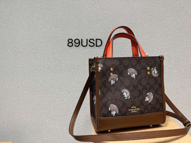 C0ACH HANDbag 221127