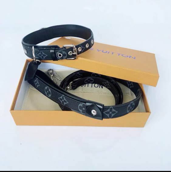 L\V dog collar lash