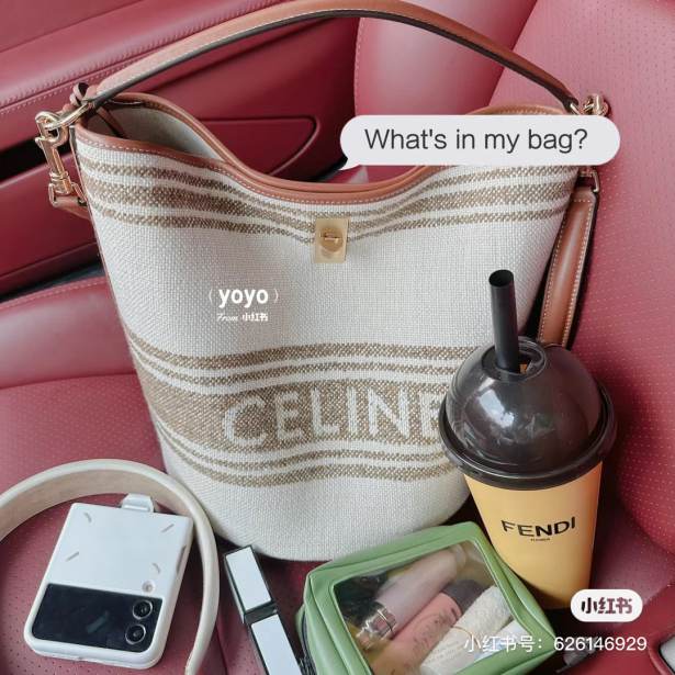 ceIine new bag 230923