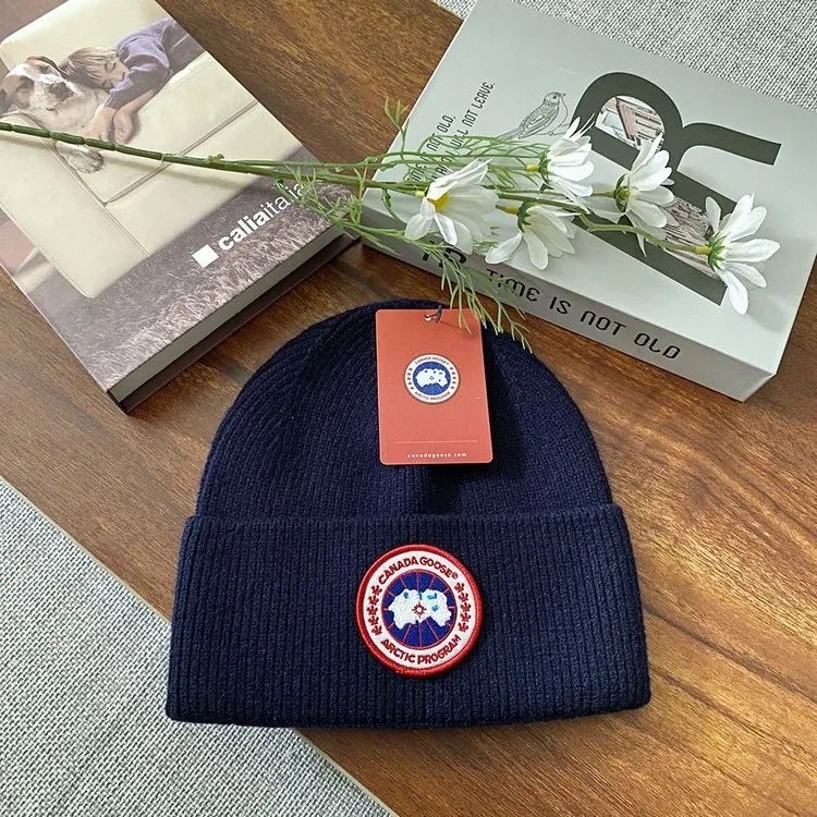 CAN GOOSE  HAT 231204