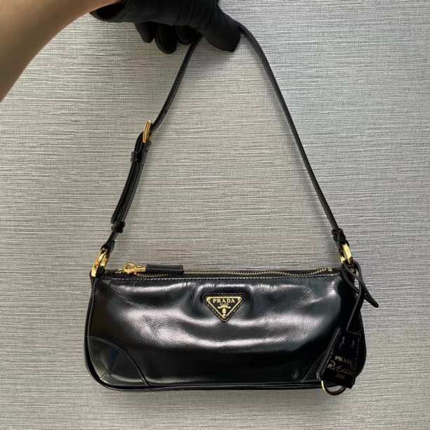 PR@D@ NEW WOMENS HAND BAG 240419