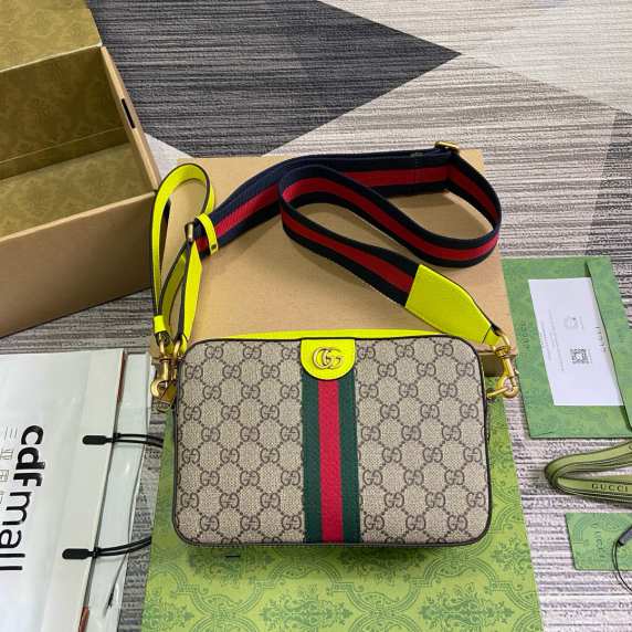 GUCCl new ophidia bag 240708