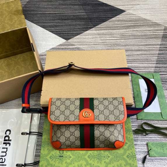 GUCCl new ophidia bag 240708