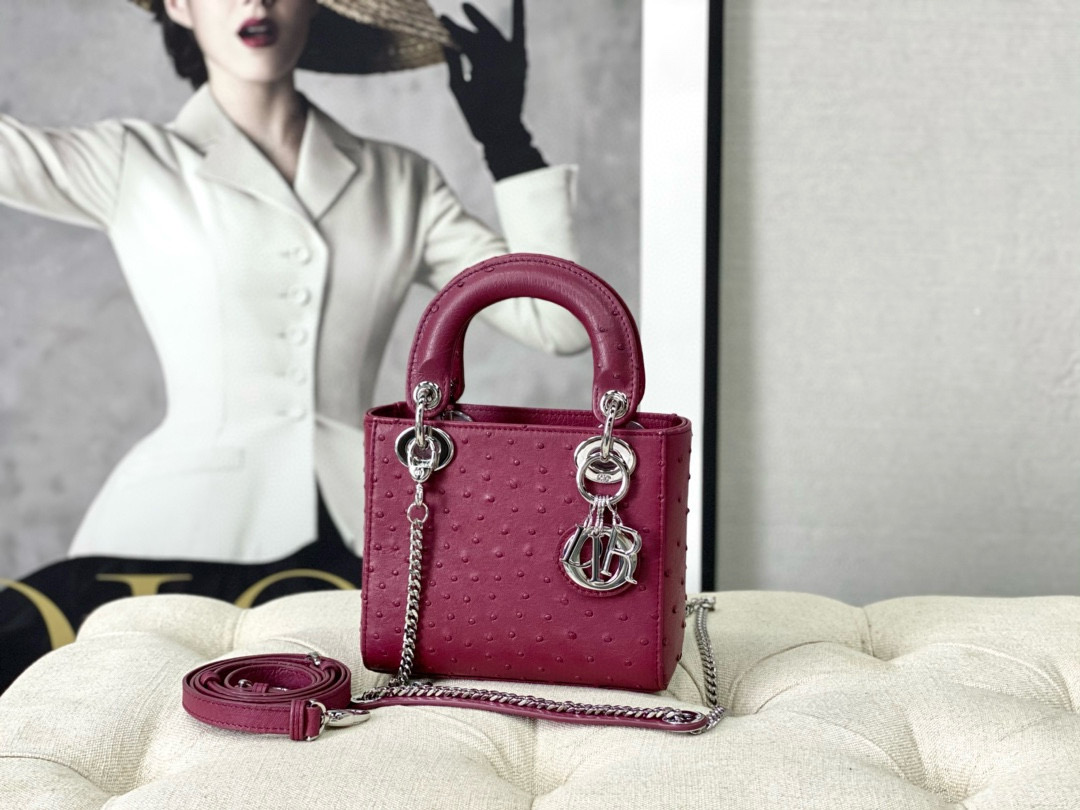 DlOR Womens Ostrich leather handbag 241023