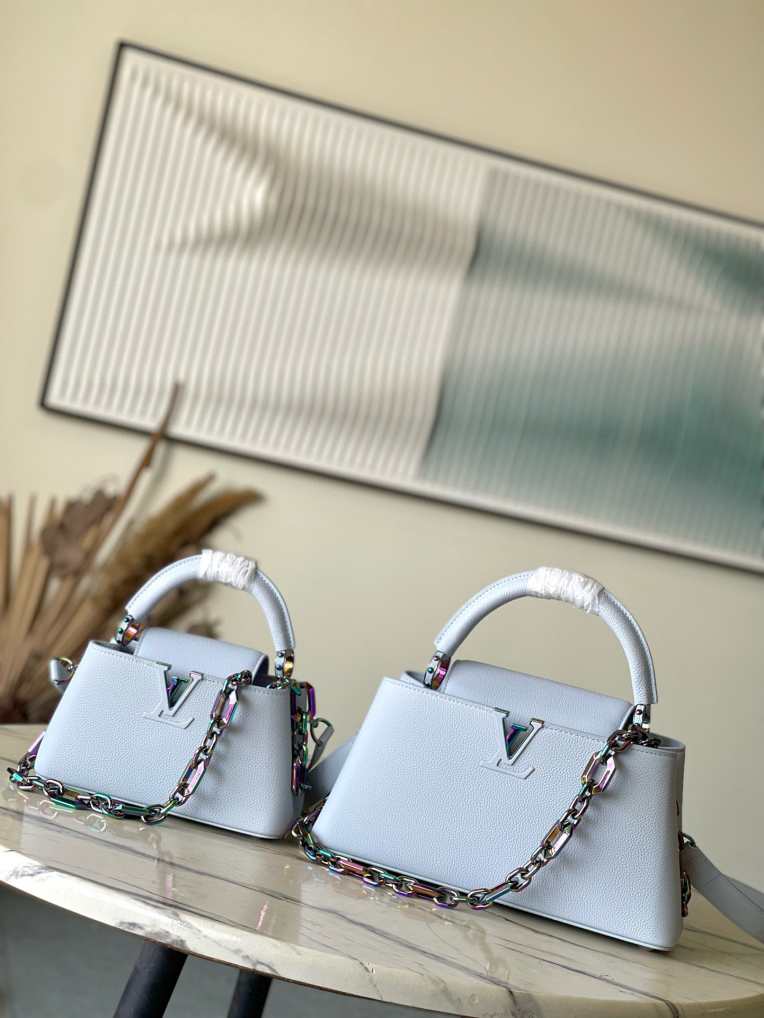 L\V NEW Capucines HANDBAG 241114