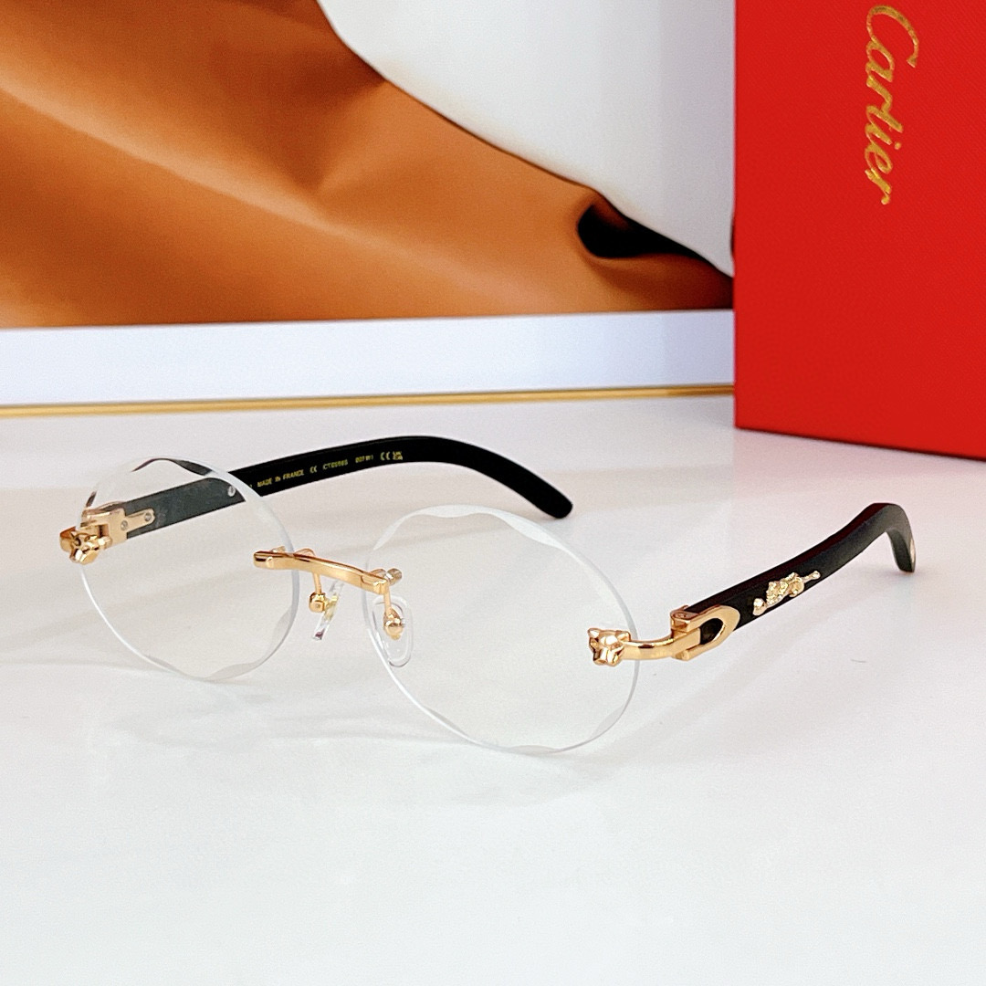 C@TIER NEW SUNGLASSES 20250206
