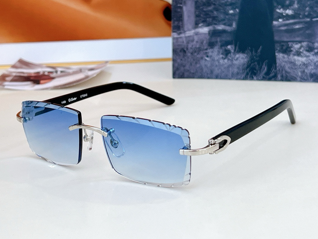 C@TIER NEW SUNGLASSES 20250206