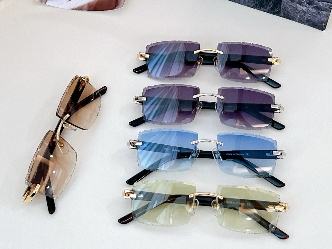 C@TIER NEW SUNGLASSES 20250206