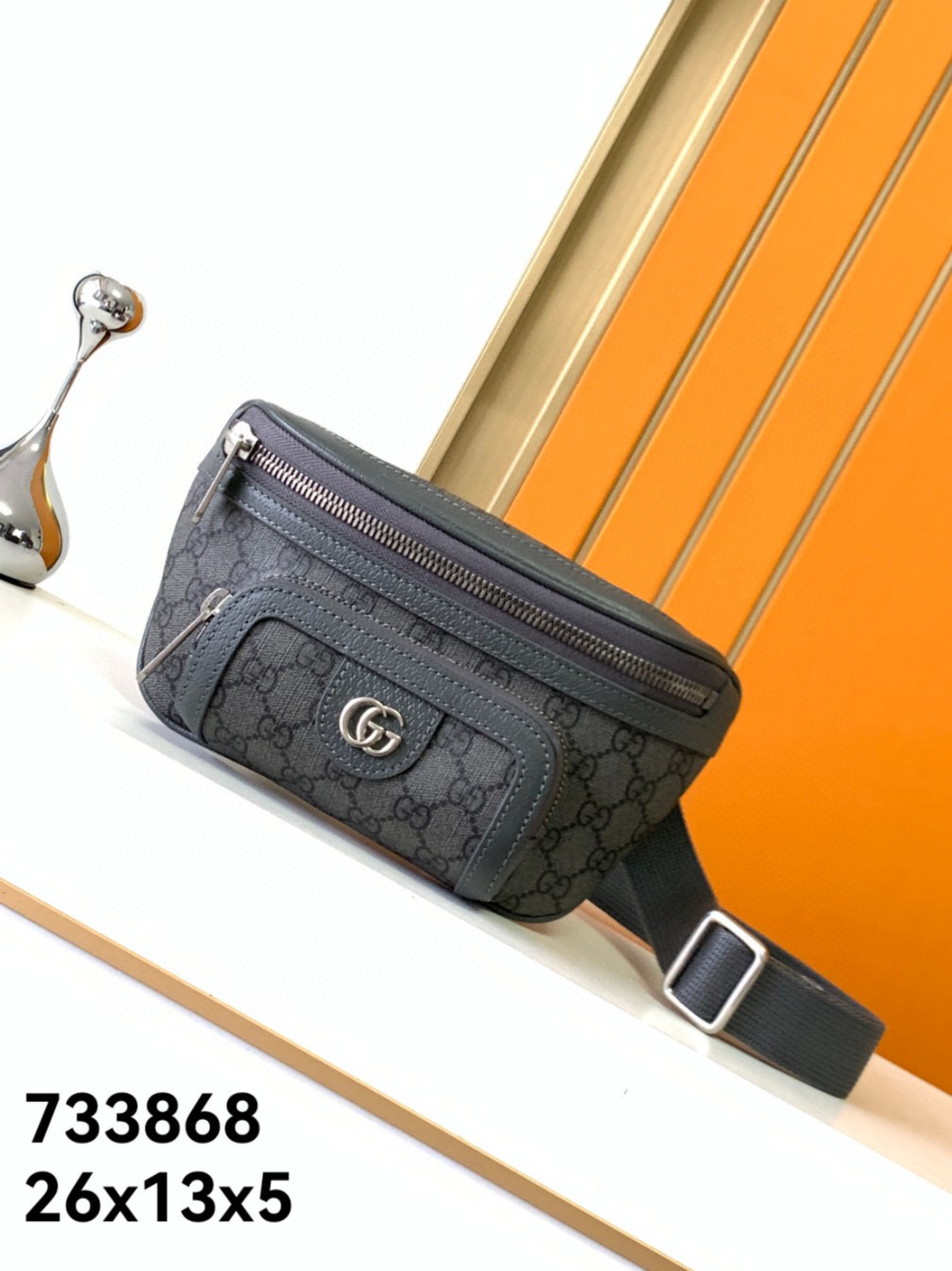 GG 733868 W26xH13x5cm BELT BAG