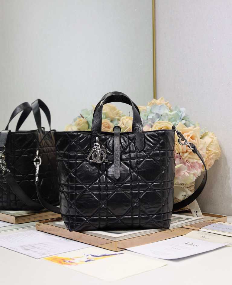 DlOR NEW WOMENS HANDBAG 250526