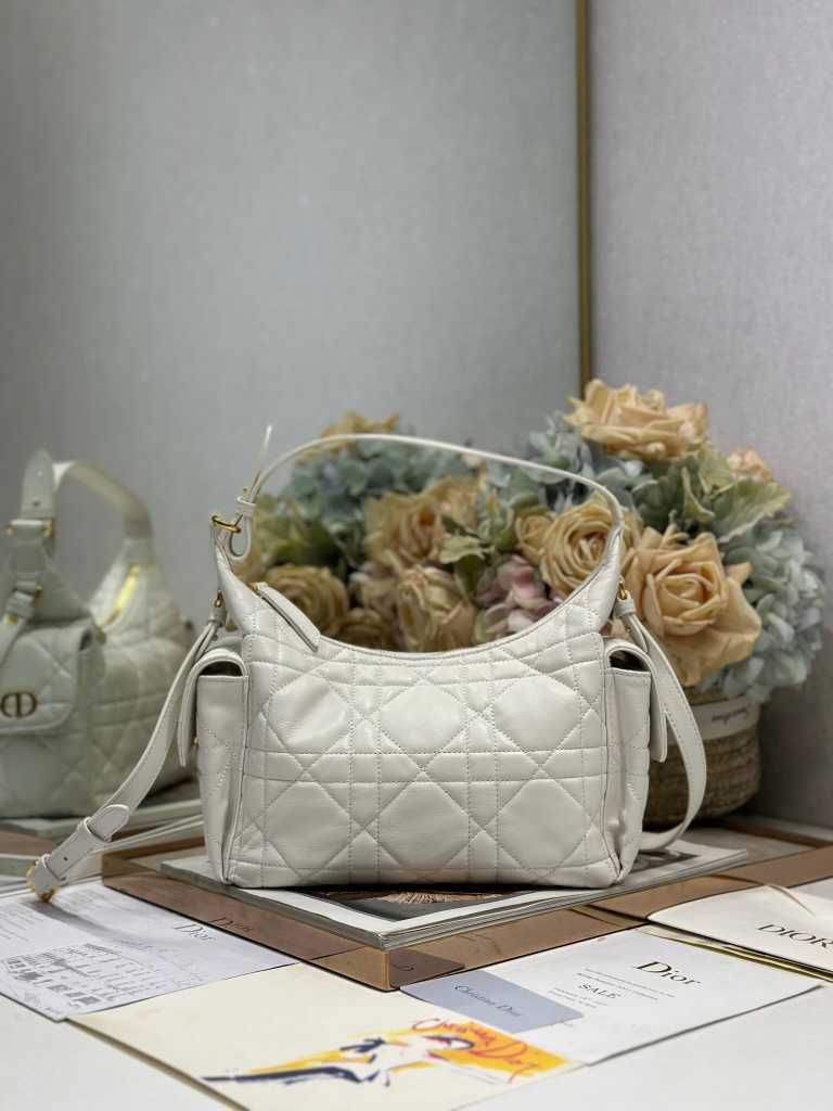 DlOR new handbag @251009