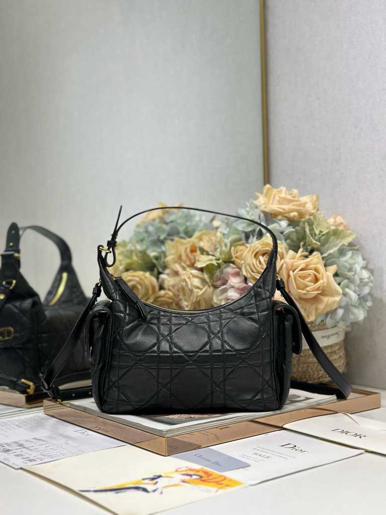DlOR new handbag @251009