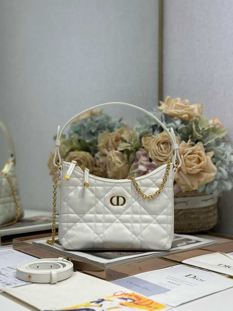 DlOR new handbag @251009