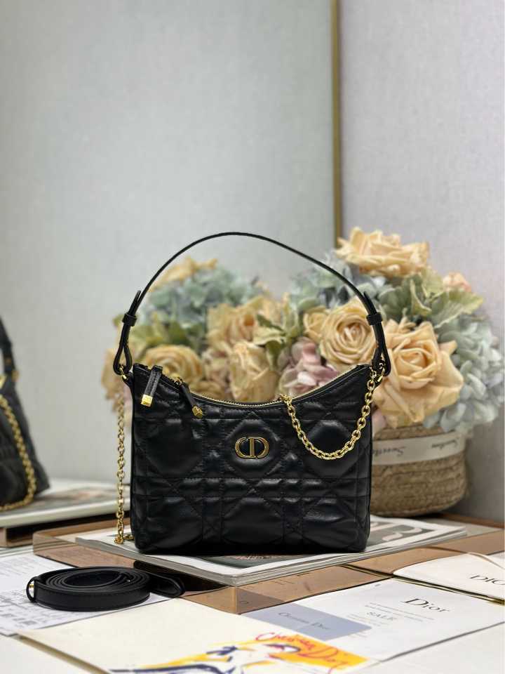 DlOR new handbag @251009