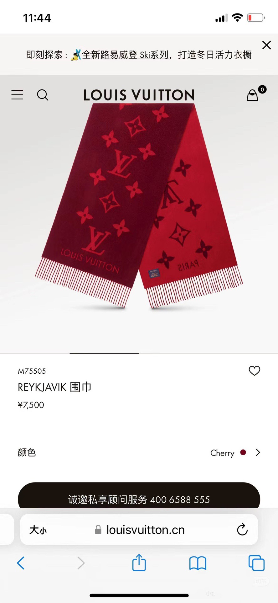 red scarf 260202